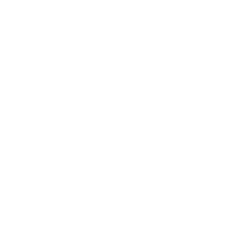 IT Squad logo white